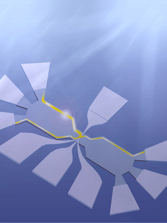Finding New Quasiparticles